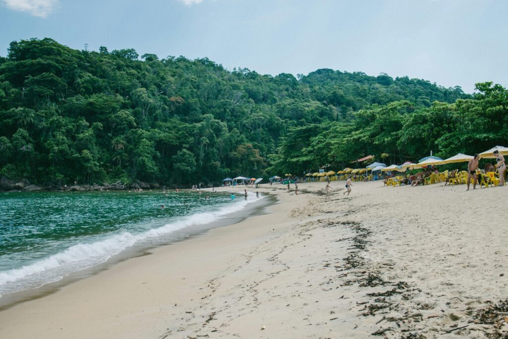 Cena da Praia do Lázaro em Ubatuba, litoral norte de São Paulo, mostrando a faixa de areia clara com guarda-sóis coloridos e pessoas relaxando, ondas suaves quebrando na orla e uma densa mata atlântica ao fundo. A imagem reflete a tranquilidade e a beleza natural da praia, perfeita para buscas relacionadas a praias para famílias em Ubatuba.