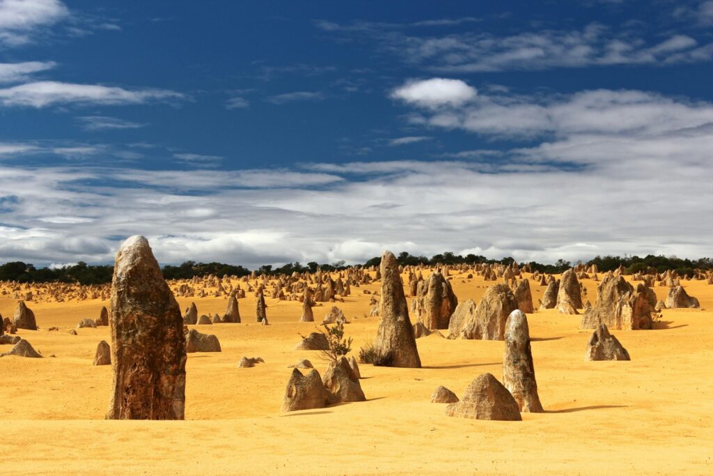 Uma vasta paisagem desértica coberta por milhares de formações rochosas de calcário de diferentes tamanhos, variando de pináculos altos e pontiagudos a pequenas protuberâncias arredondadas. A areia do deserto tem um tom amarelado vibrante. Ao fundo, uma linha de vegetação escura é visível sob um céu azul com nuvens brancas e esparsas.