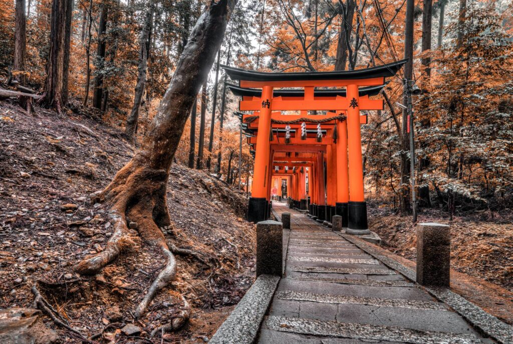 Caminho de pedra ladeado por inúmeros portões torii laranja e preta em meio a uma floresta, no Japão.