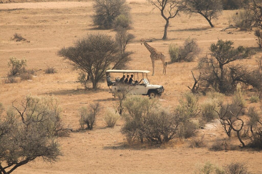 A imagem retrata um veículo de safári em meio à paisagem árida da savana africana, com turistas observando uma girafa, simbolizando a emocionante experiência de um safári na vida selvagem da África do Sul.